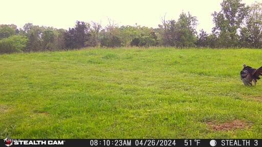 4045 South Mohawk Road Midway, TN 37809 - Photo 19 of 69 _Pic18 (3)