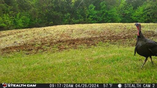 4045 South Mohawk Road Midway, TN 37809 - Photo 20 of 69 _Pic19 (3)