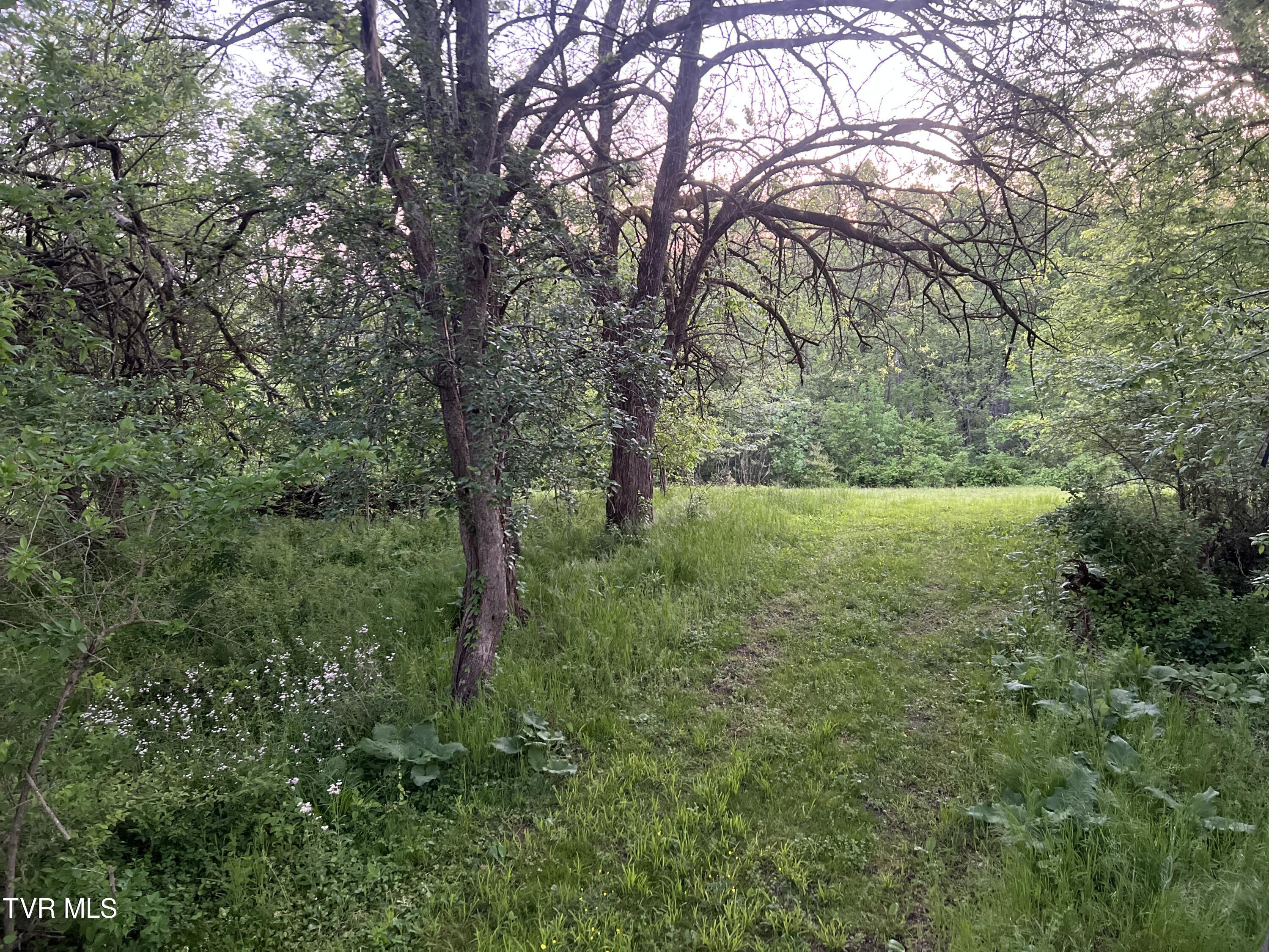 4045 South Mohawk Road Midway, TN 37809 - Photo 21 of 69 _Pic20 (1)