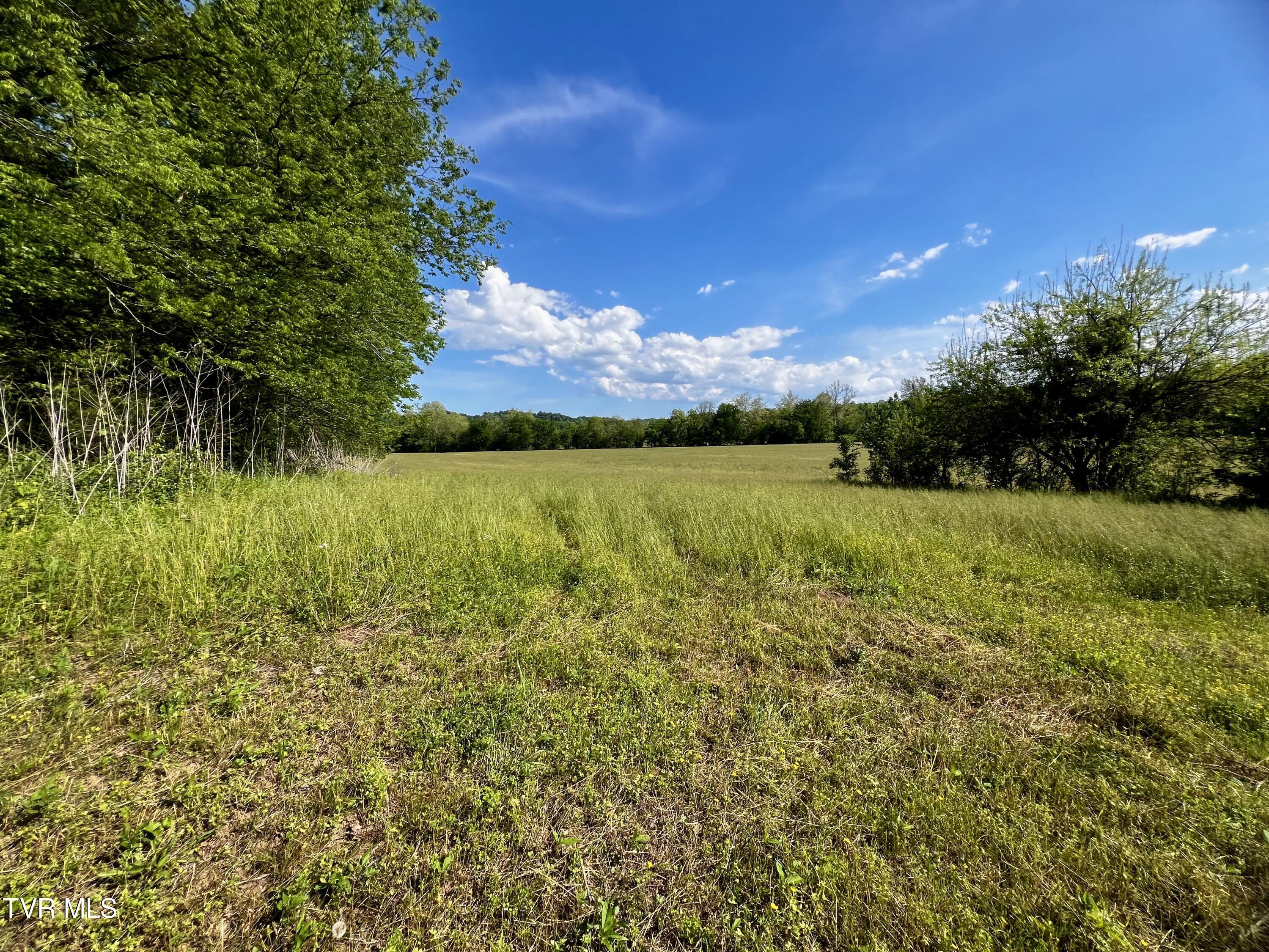 4045 South Mohawk Road Midway, TN 37809 - Photo 23 of 69 _Pic22 (1)
