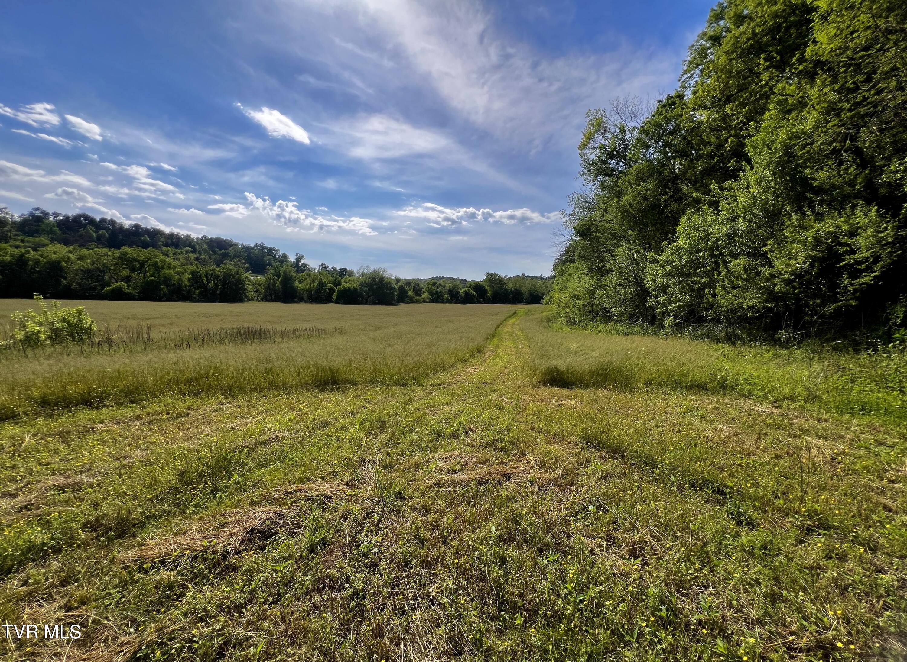 4045 South Mohawk Road Midway, TN 37809 - Photo 24 of 69 _Pic23 (1)
