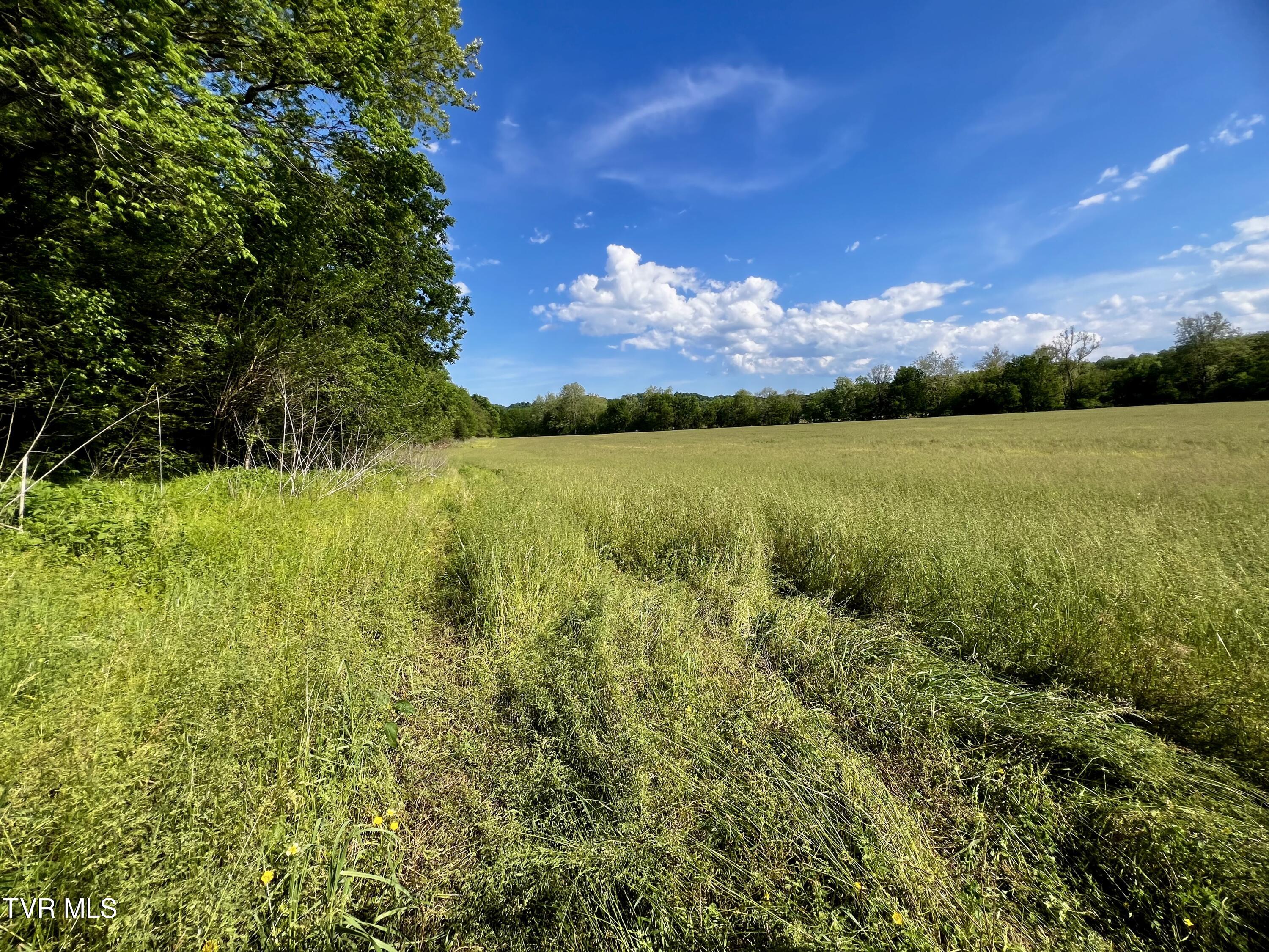 4045 South Mohawk Road Midway, TN 37809 - Photo 26 of 69 _Pic25 (1)
