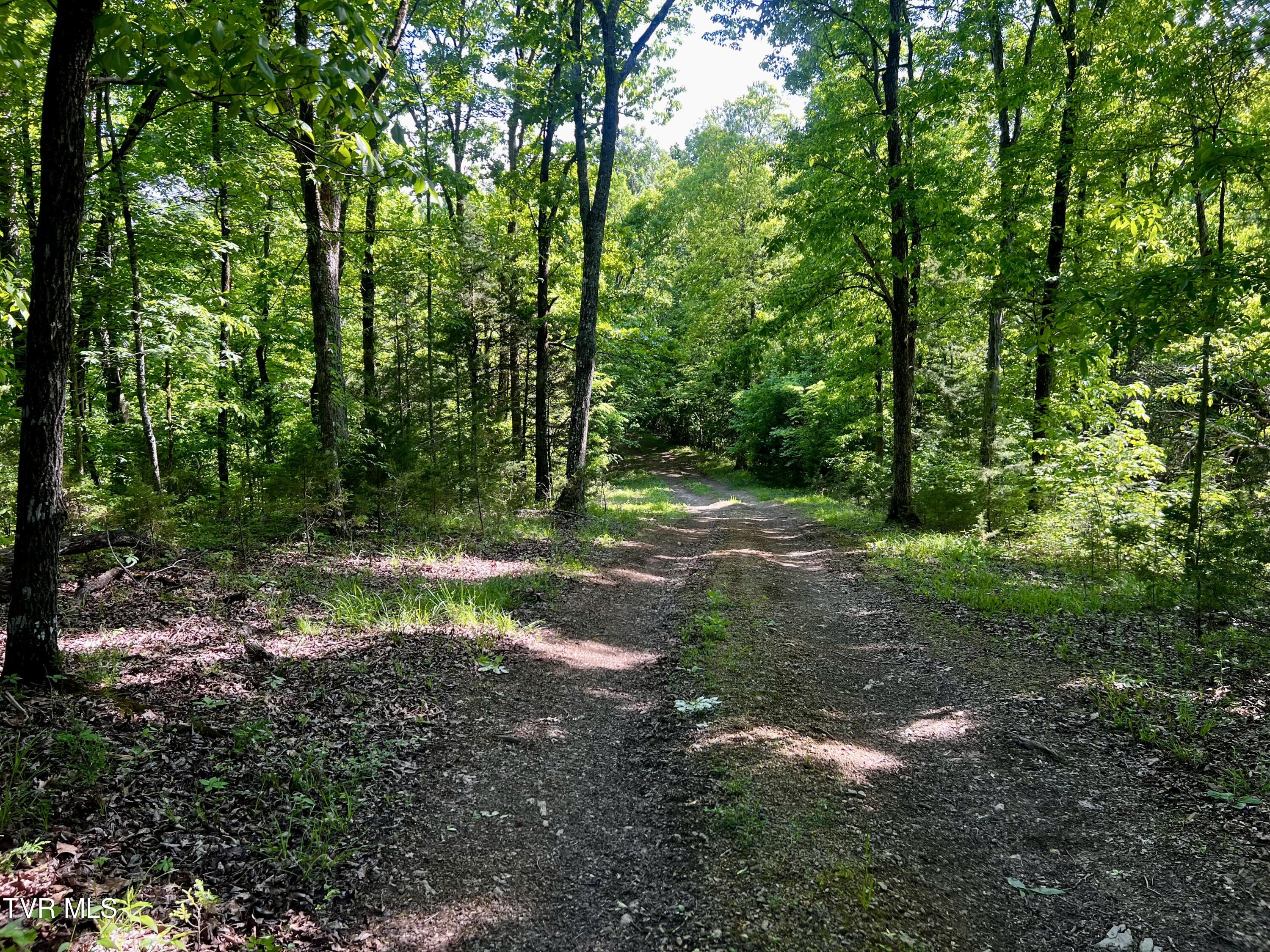 4045 South Mohawk Road Midway, TN 37809 - Photo 30 of 69 _Pic30 (1)