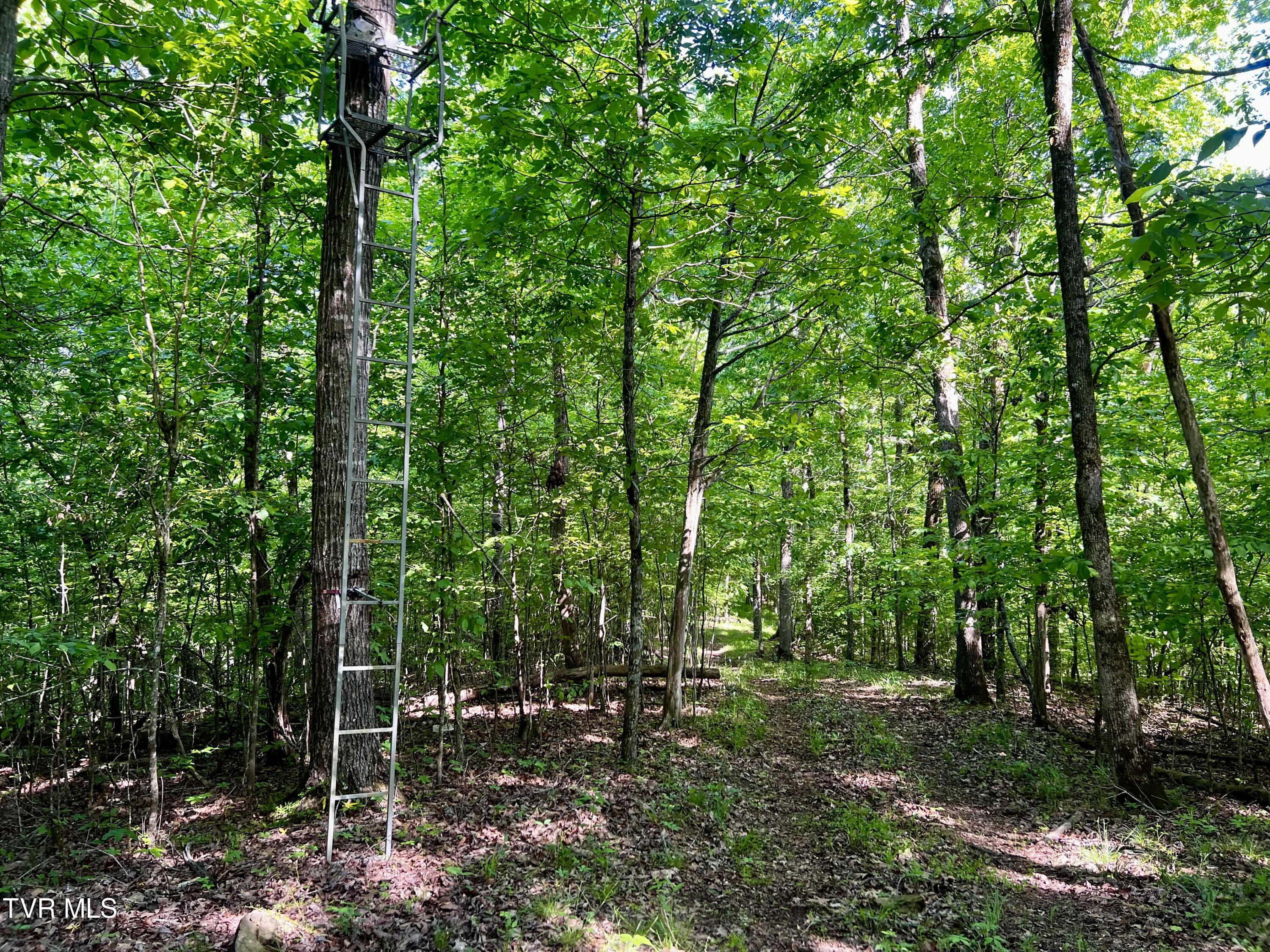 4045 South Mohawk Road Midway, TN 37809 - Photo 31 of 69 _Pic31 (1)