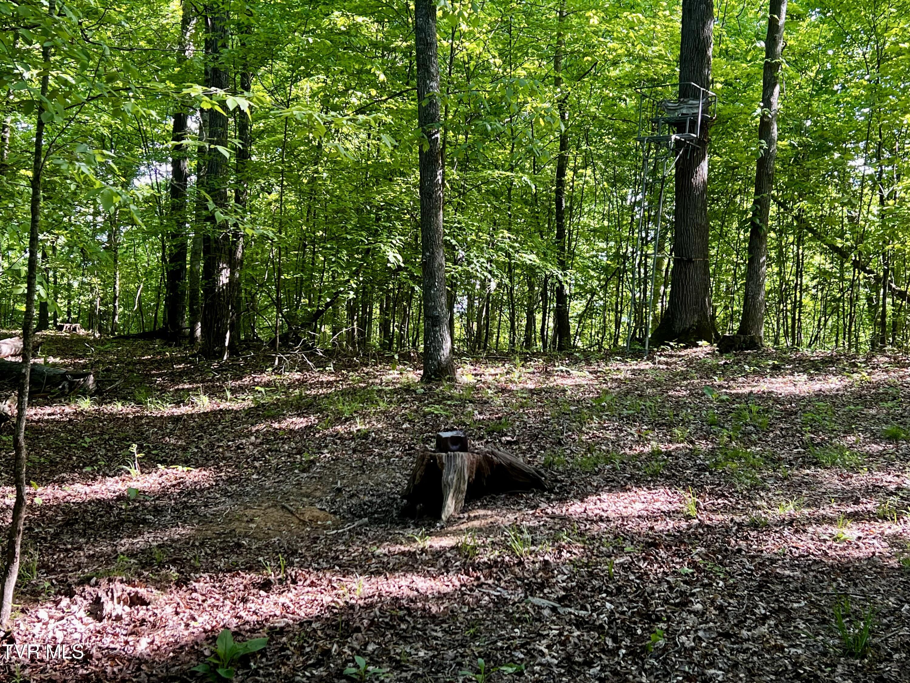 4045 South Mohawk Road Midway, TN 37809 - Photo 32 of 69 _Pic32 (1)