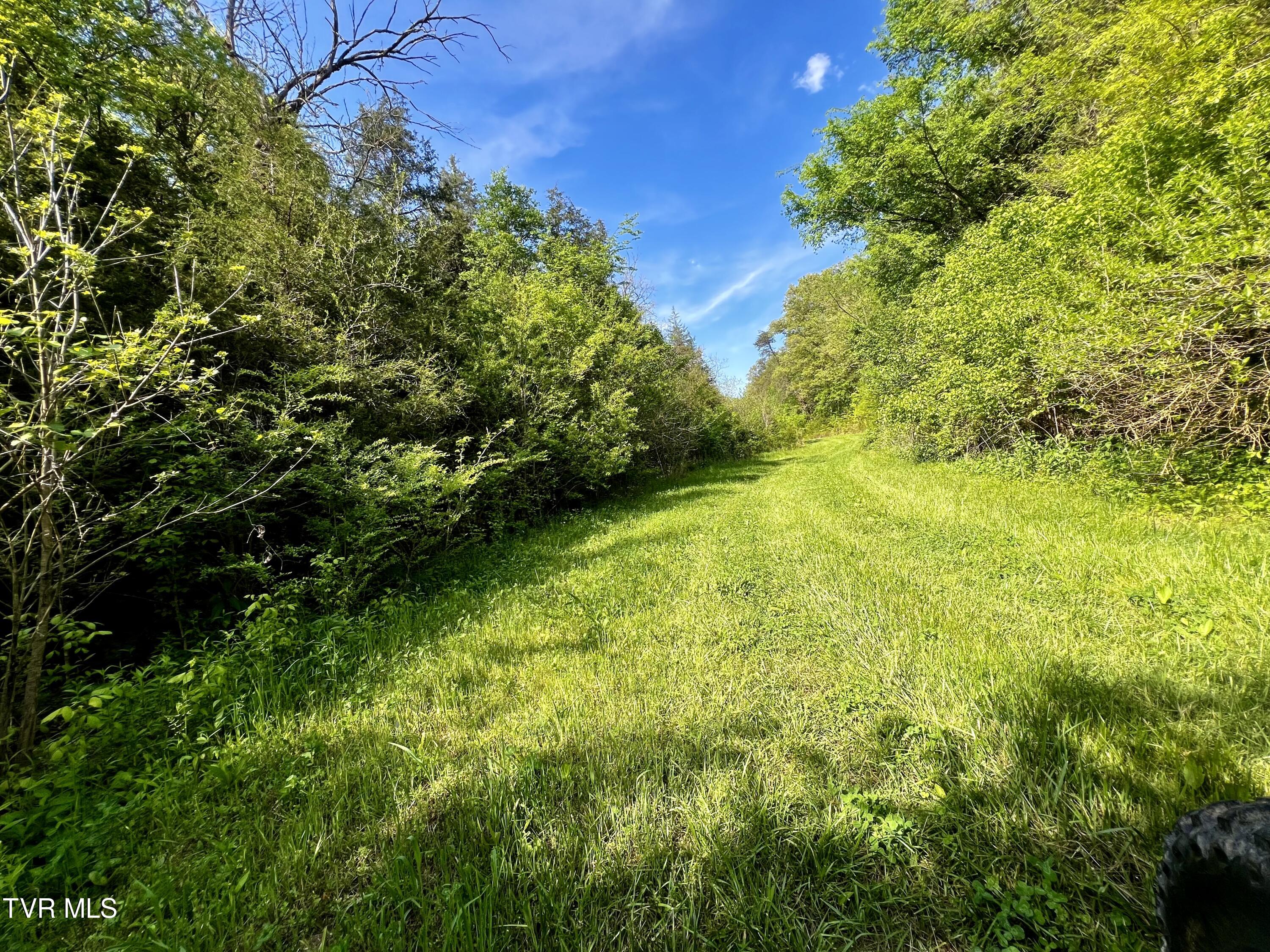 4045 South Mohawk Road Midway, TN 37809 - Photo 36 of 69 _Pic37 (1)