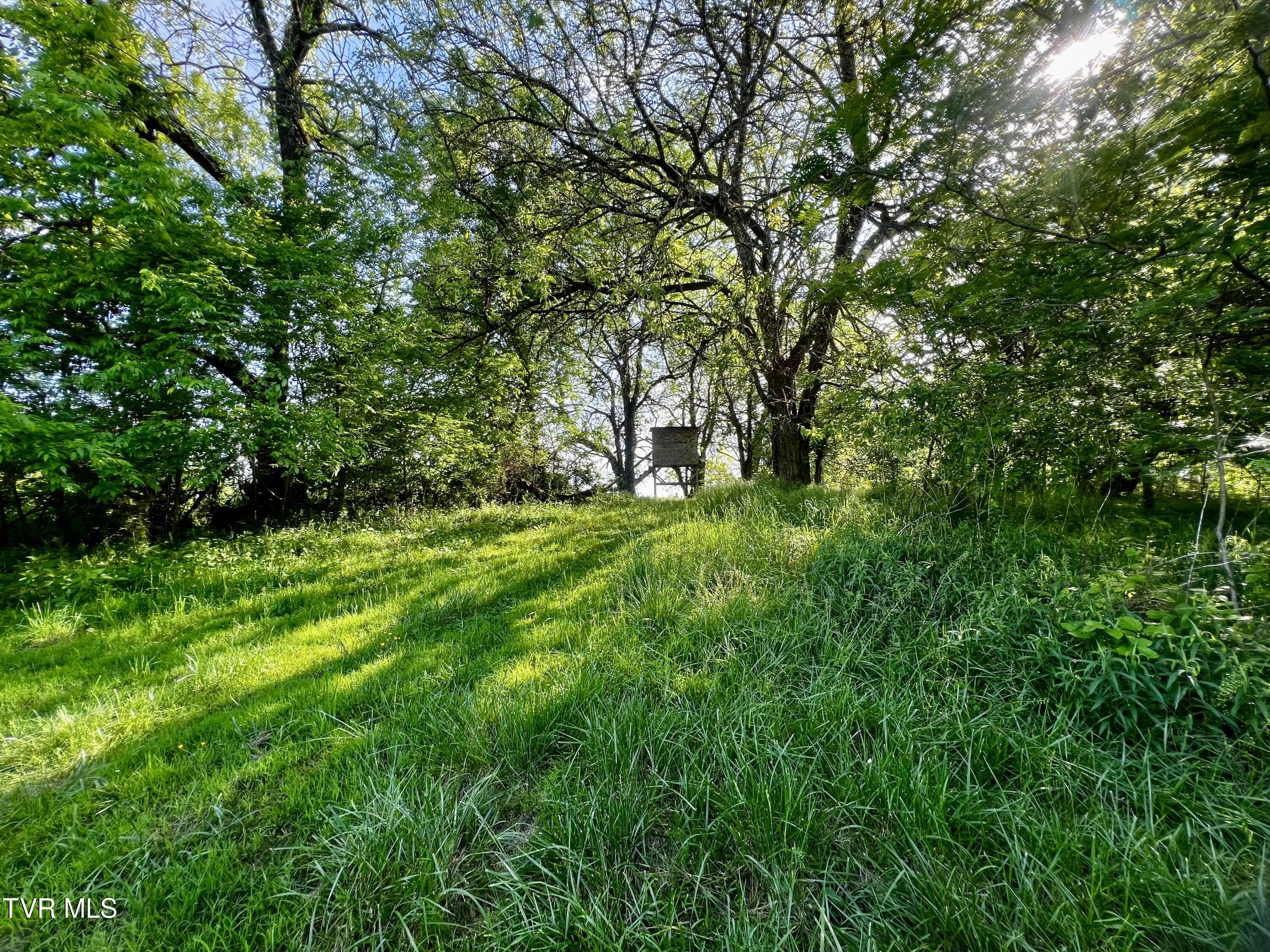4045 South Mohawk Road Midway, TN 37809 - Photo 41 of 69 _Pic42 (2)