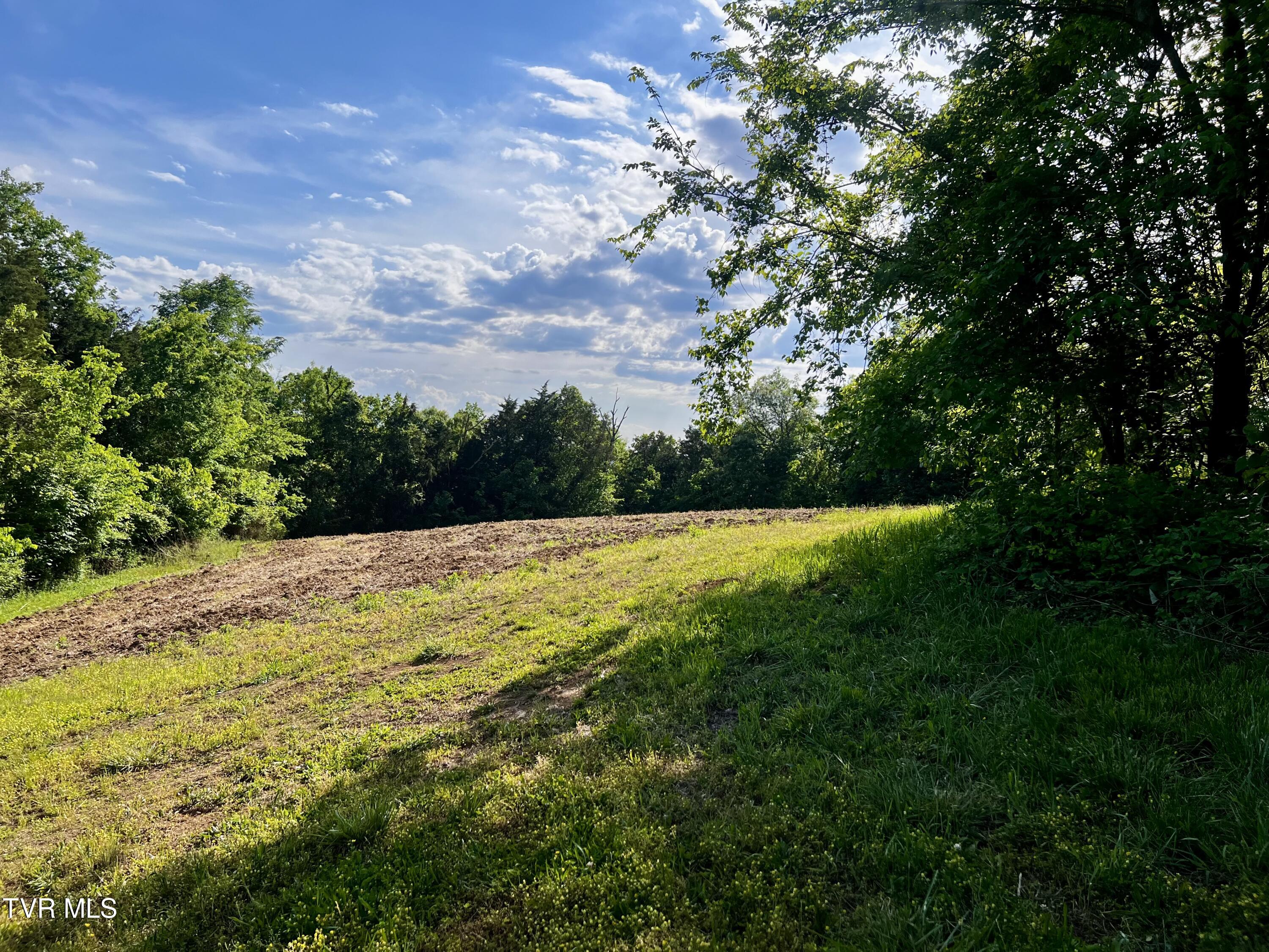 4045 South Mohawk Road Midway, TN 37809 - Photo 43 of 69 _Pic44 (2)