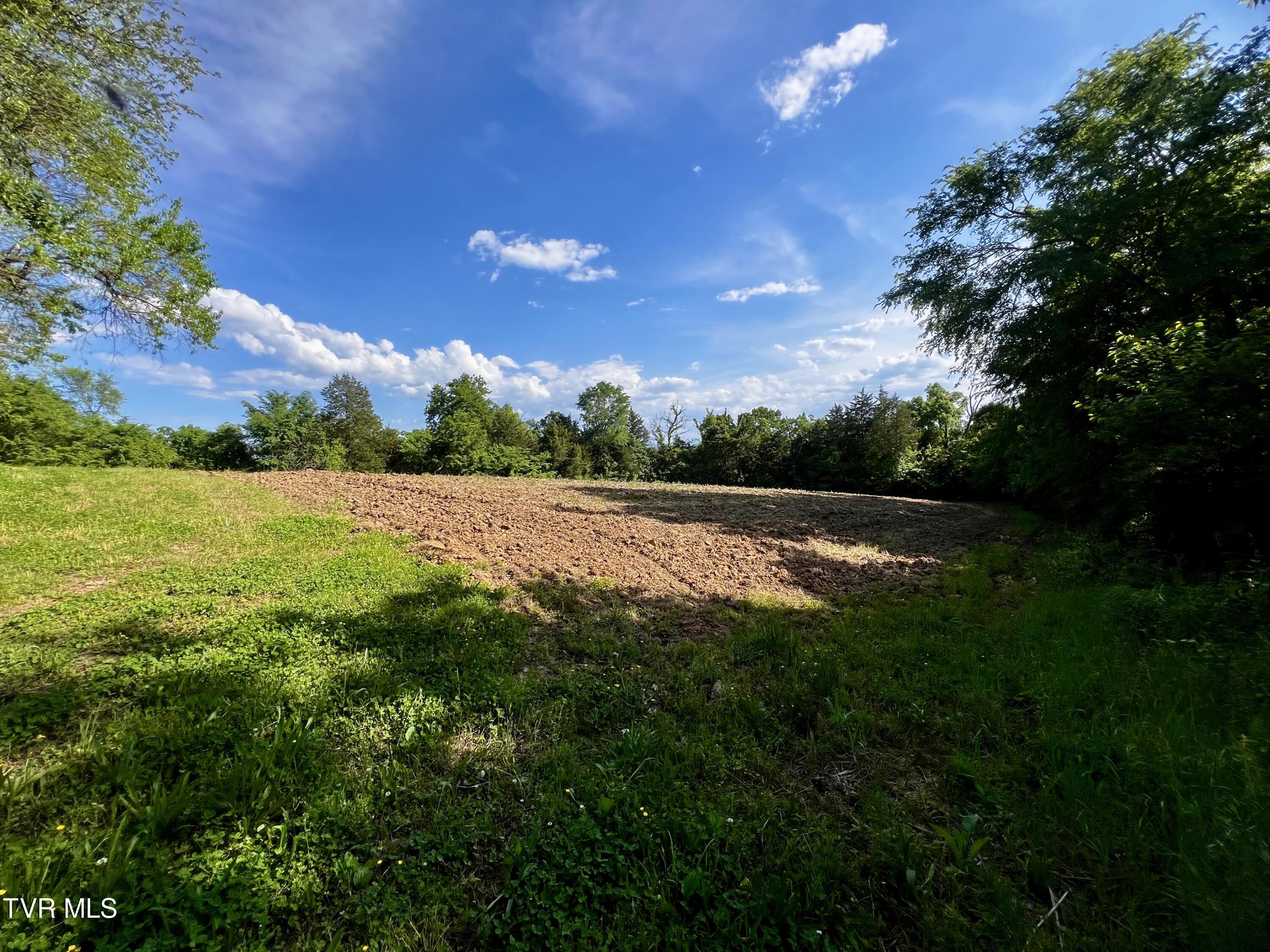 4045 South Mohawk Road Midway, TN 37809 - Photo 45 of 69 _Pic46 (1)