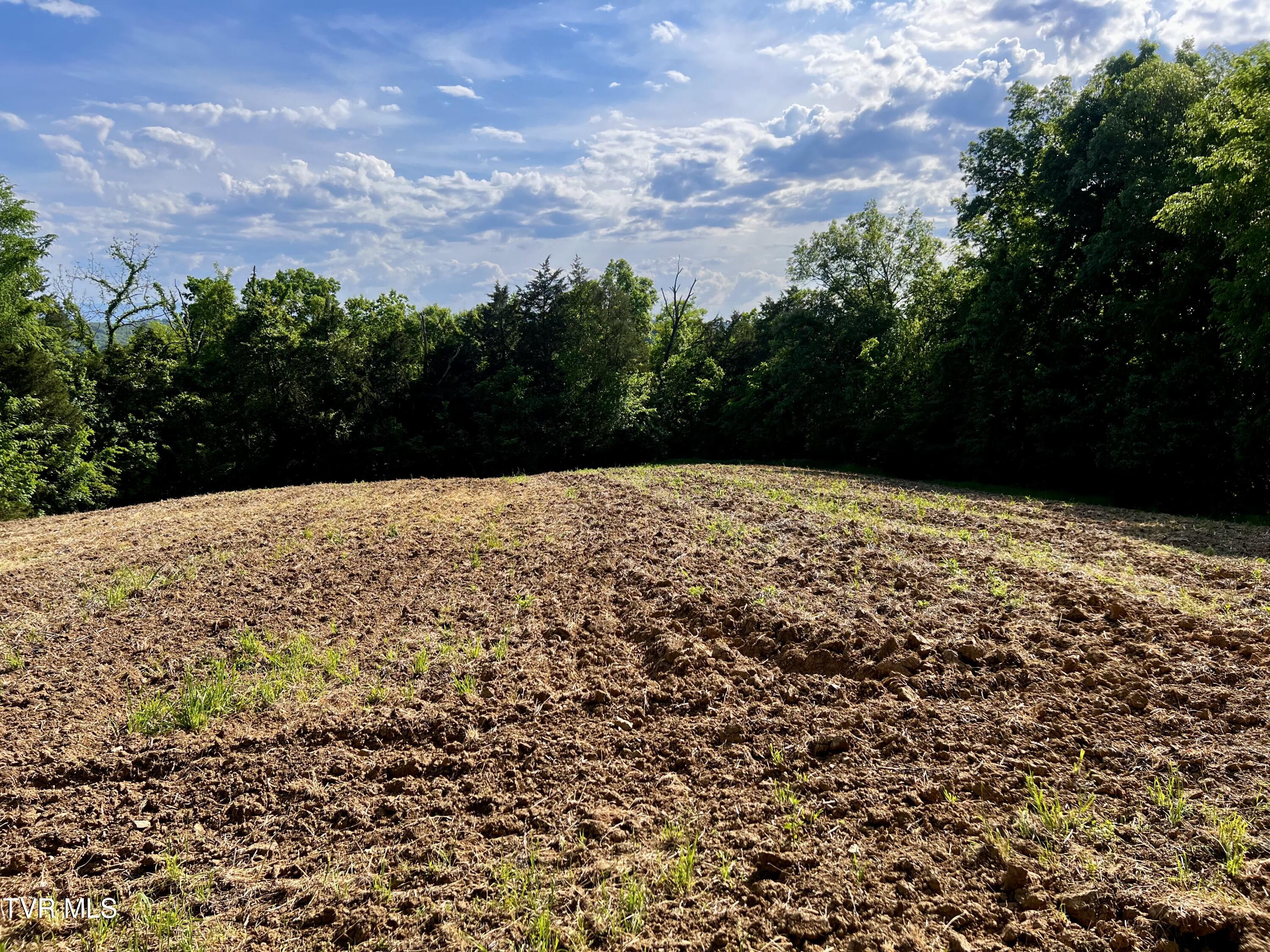 4045 South Mohawk Road Midway, TN 37809 - Photo 46 of 69 _Pic47 (1)