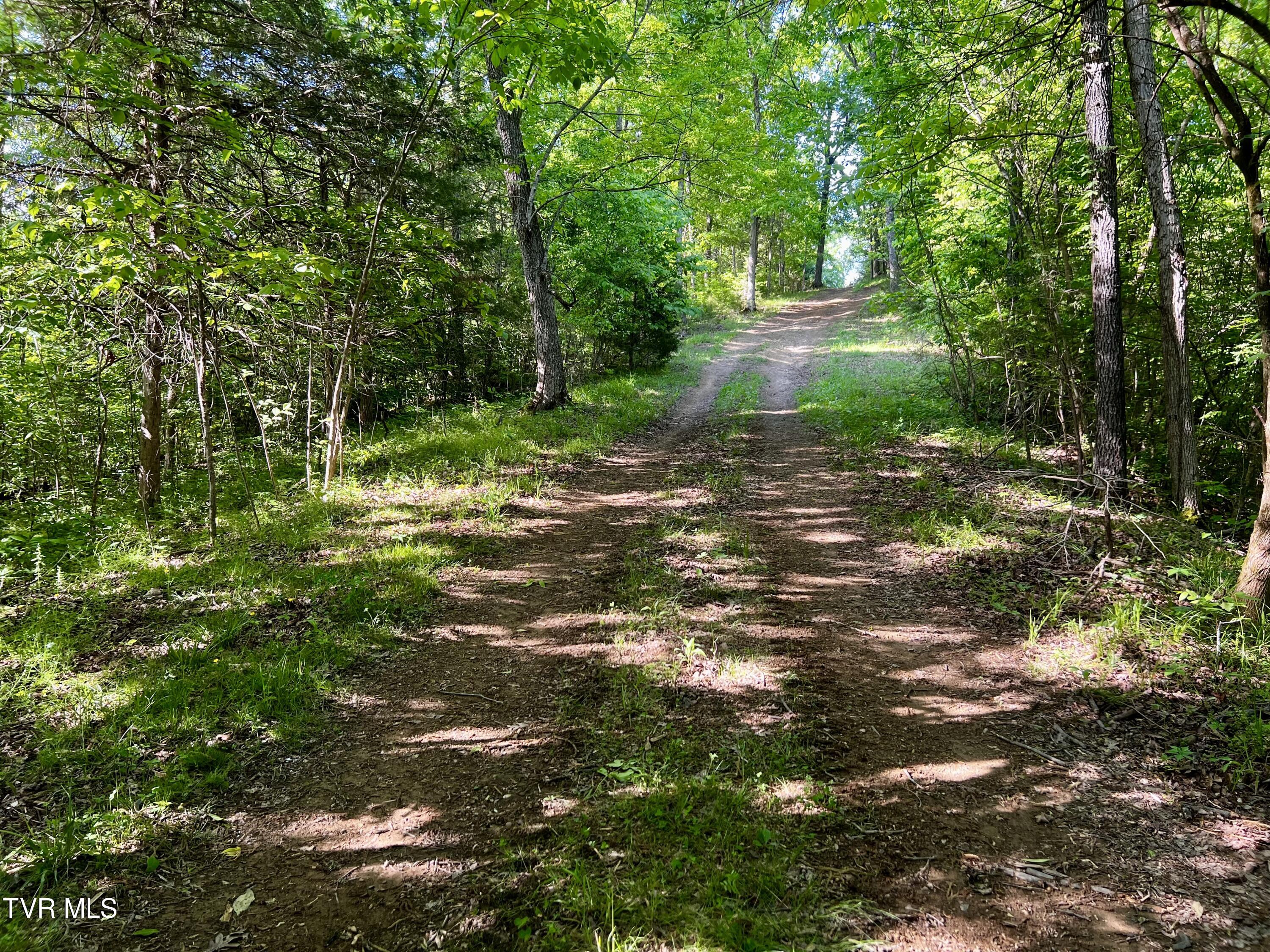 4045 South Mohawk Road Midway, TN 37809 - Photo 49 of 69 _Pic50 (1)