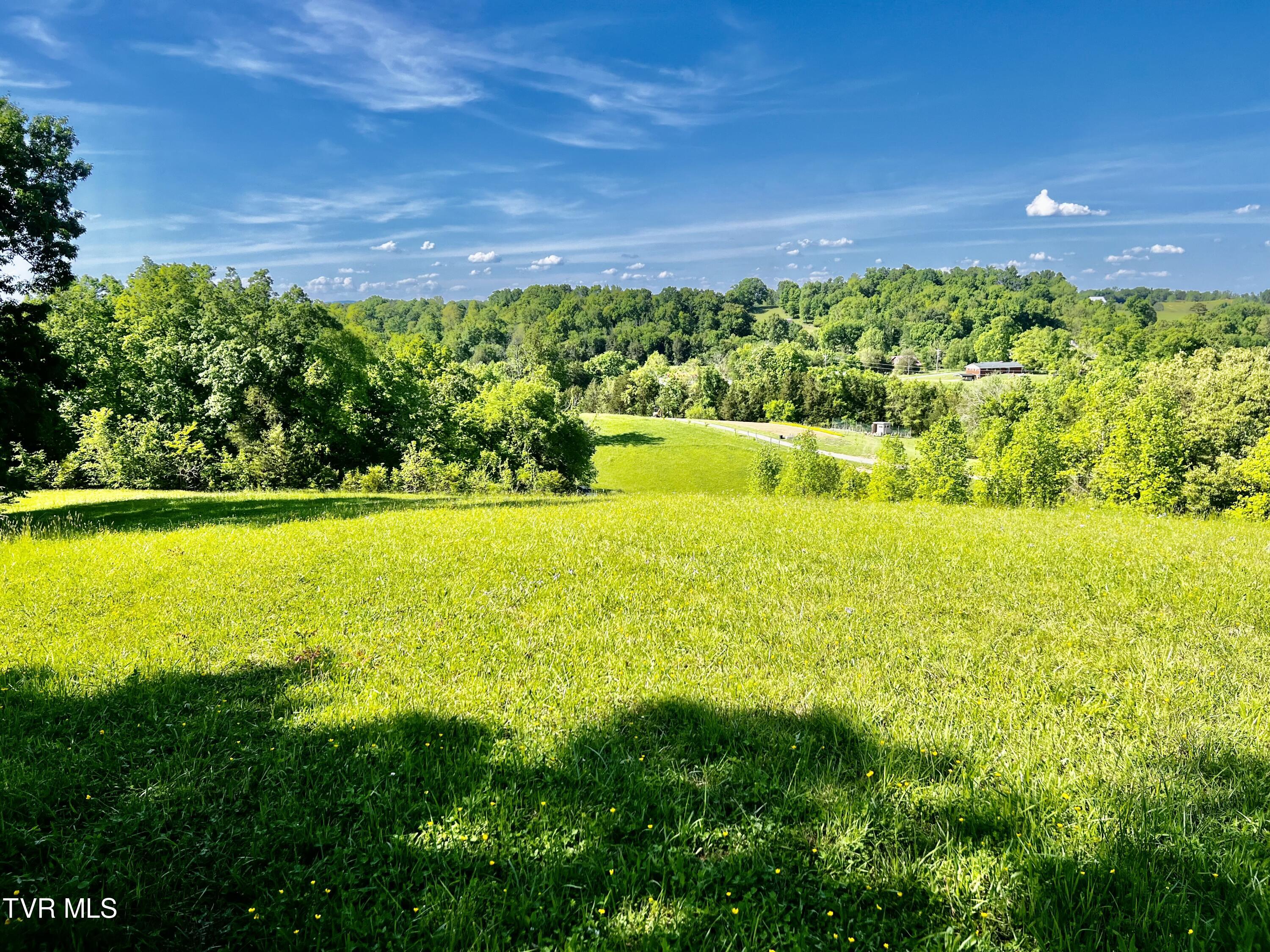 4045 South Mohawk Road Midway, TN 37809 - Photo 69 of 69 _Pic72