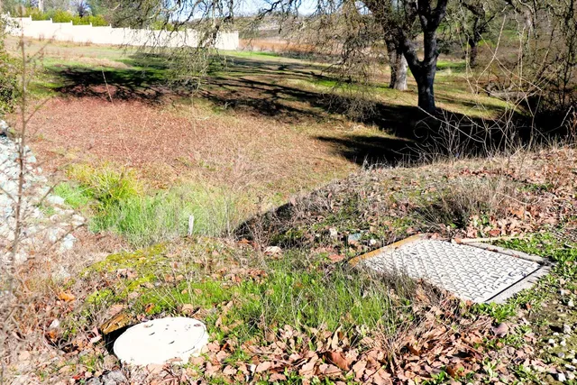 a view of a yard with plants and a bench