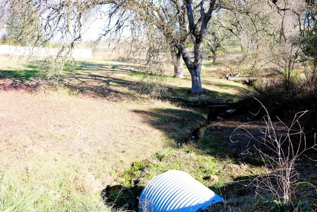 a view of outdoor space and trees