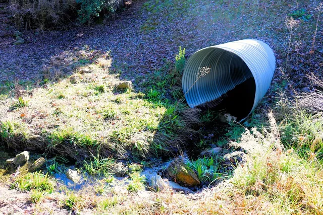 a backyard of a house with lots of green space and garden