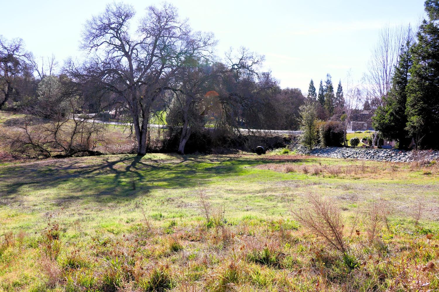 337 St Andrews Road Valley Springs, CA 95252 - Photo 15 of 47 a view of swimming pool with trees
