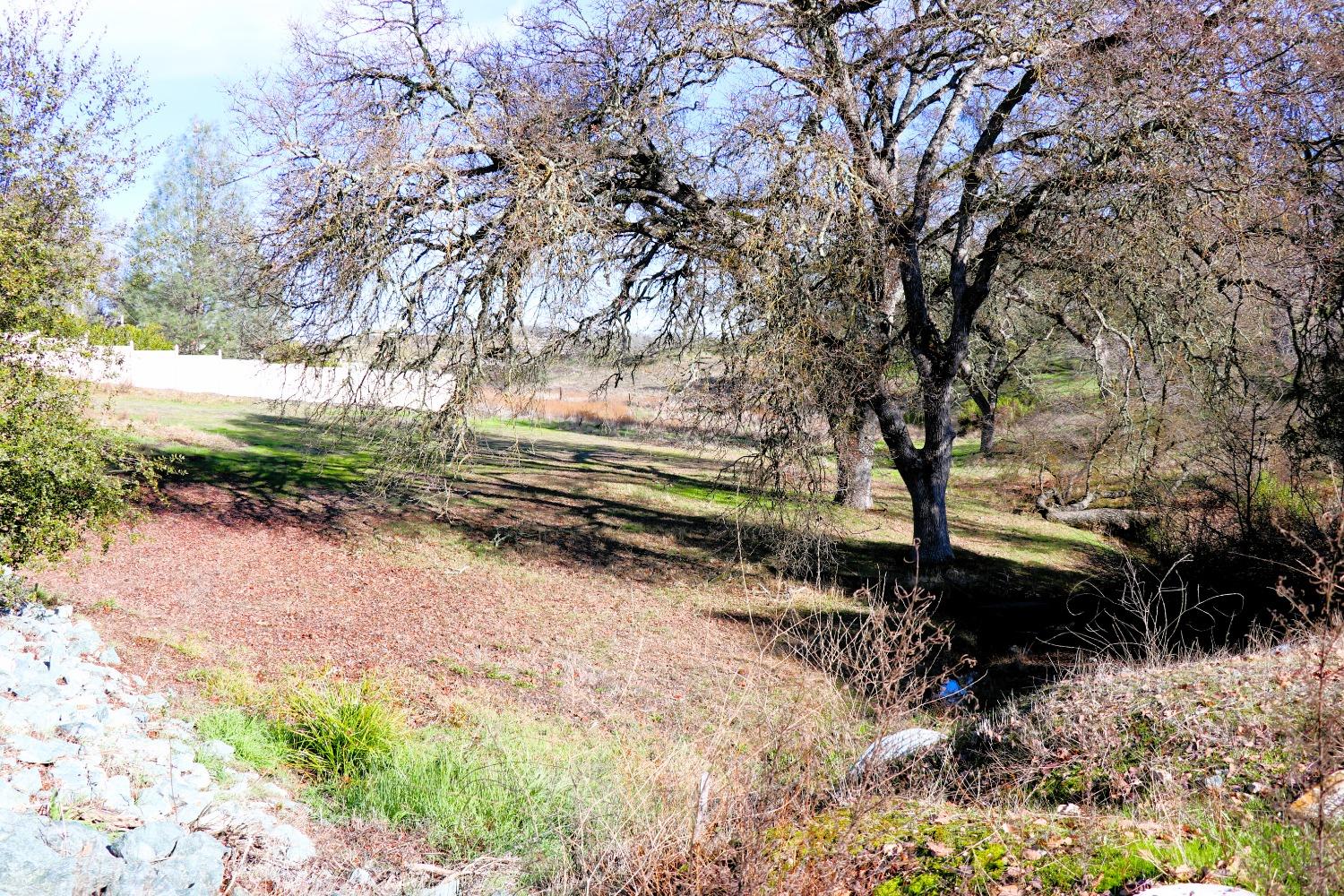 337 St Andrews Road Valley Springs, CA 95252 - Photo 16 of 47 a view of a yard with plants and trees