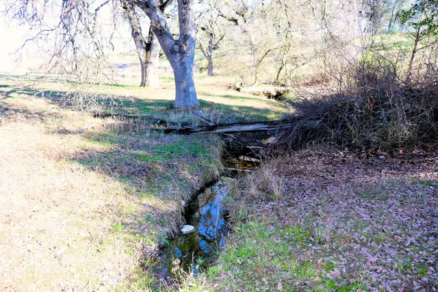 a backyard of a house with lots of green space