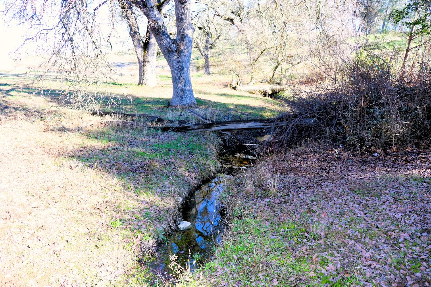 337 St Andrews Road Valley Springs, CA 95252 - Photo 17 of 47 a backyard of a house with lots of green space