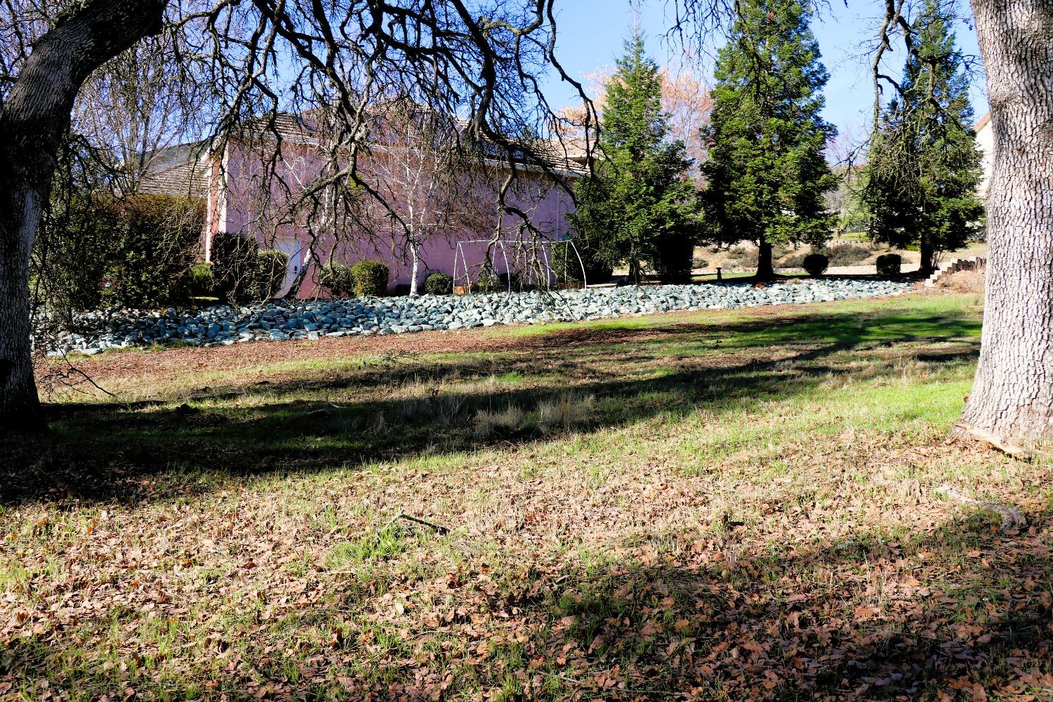 337 St Andrews Road Valley Springs, CA 95252 - Photo 21 of 47 a view of swimming pool with a yard and trees