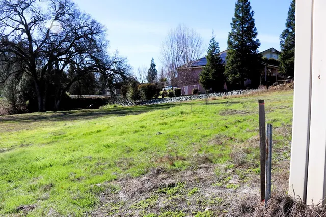 a view of backyard with tree