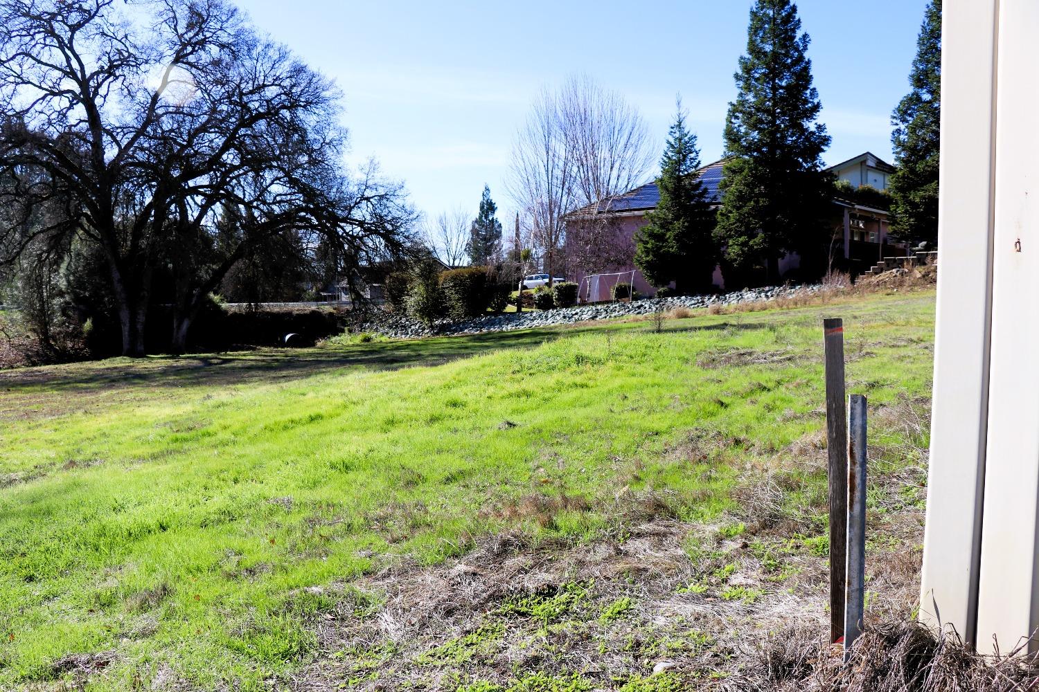 337 St Andrews Road Valley Springs, CA 95252 - Photo 22 of 47 a view of backyard with tree