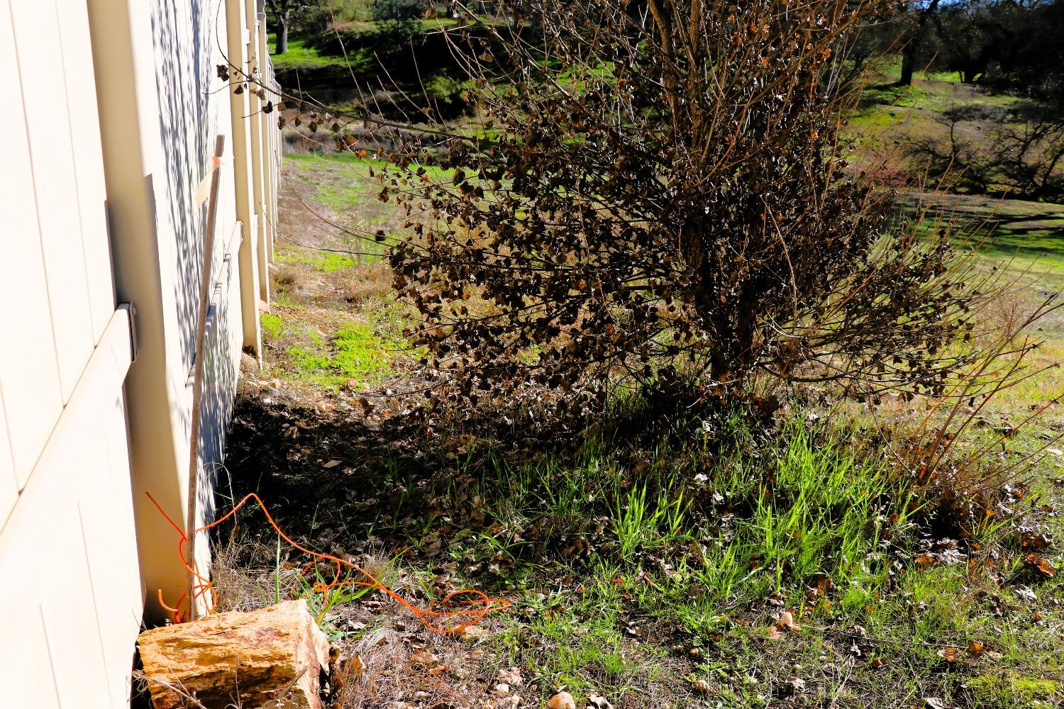 337 St Andrews Road Valley Springs, CA 95252 - Photo 23 of 47 a view of a back yard
