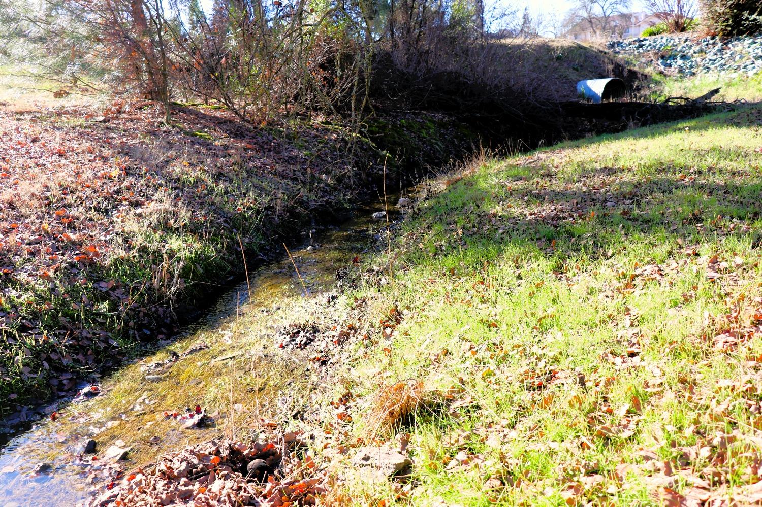 337 St Andrews Road Valley Springs, CA 95252 - Photo 25 of 47 a view of swimming pool from a yard