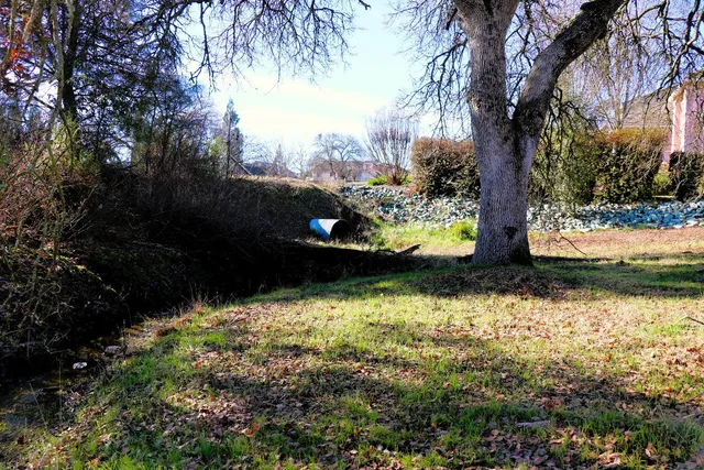 a view of a yard with wooden fence