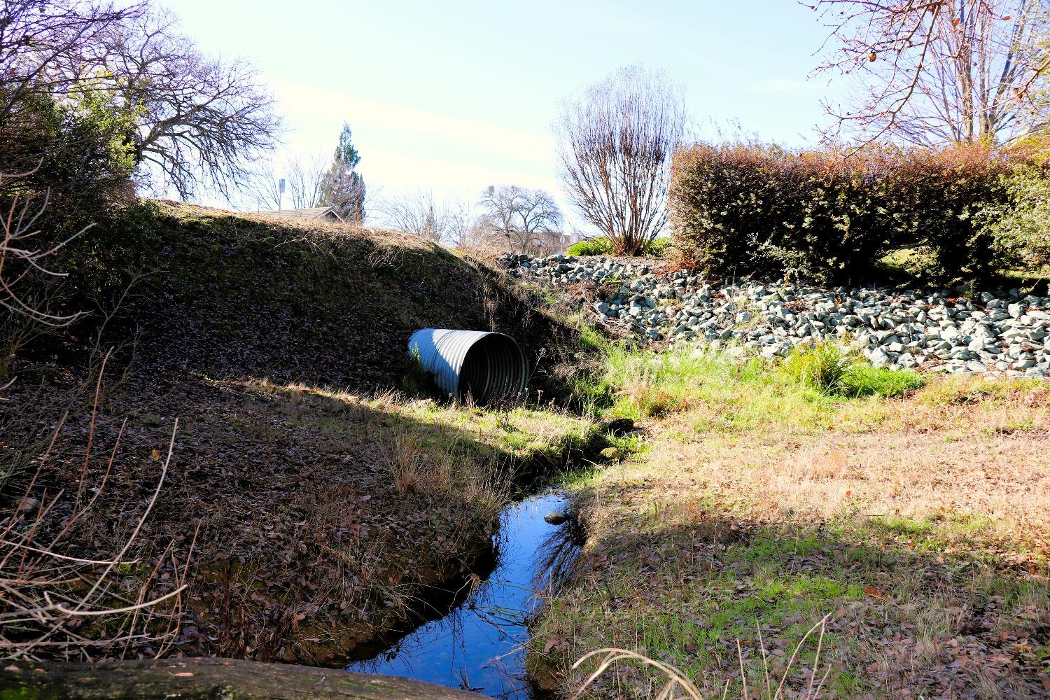 337 St Andrews Road Valley Springs, CA 95252 - Photo 27 of 47 a view of a yard with wooden fence