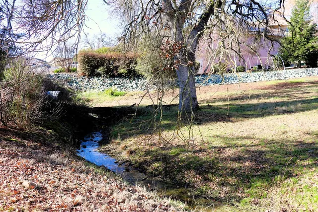 a view of yard with trees