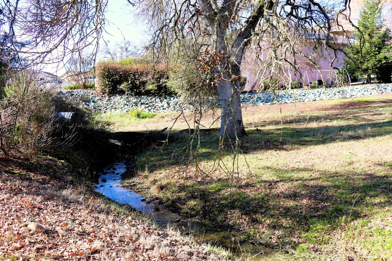 337 St Andrews Road Valley Springs, CA 95252 - Photo 28 of 47 a view of a garden with a tree