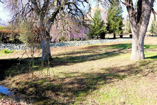 a view of a yard with trees