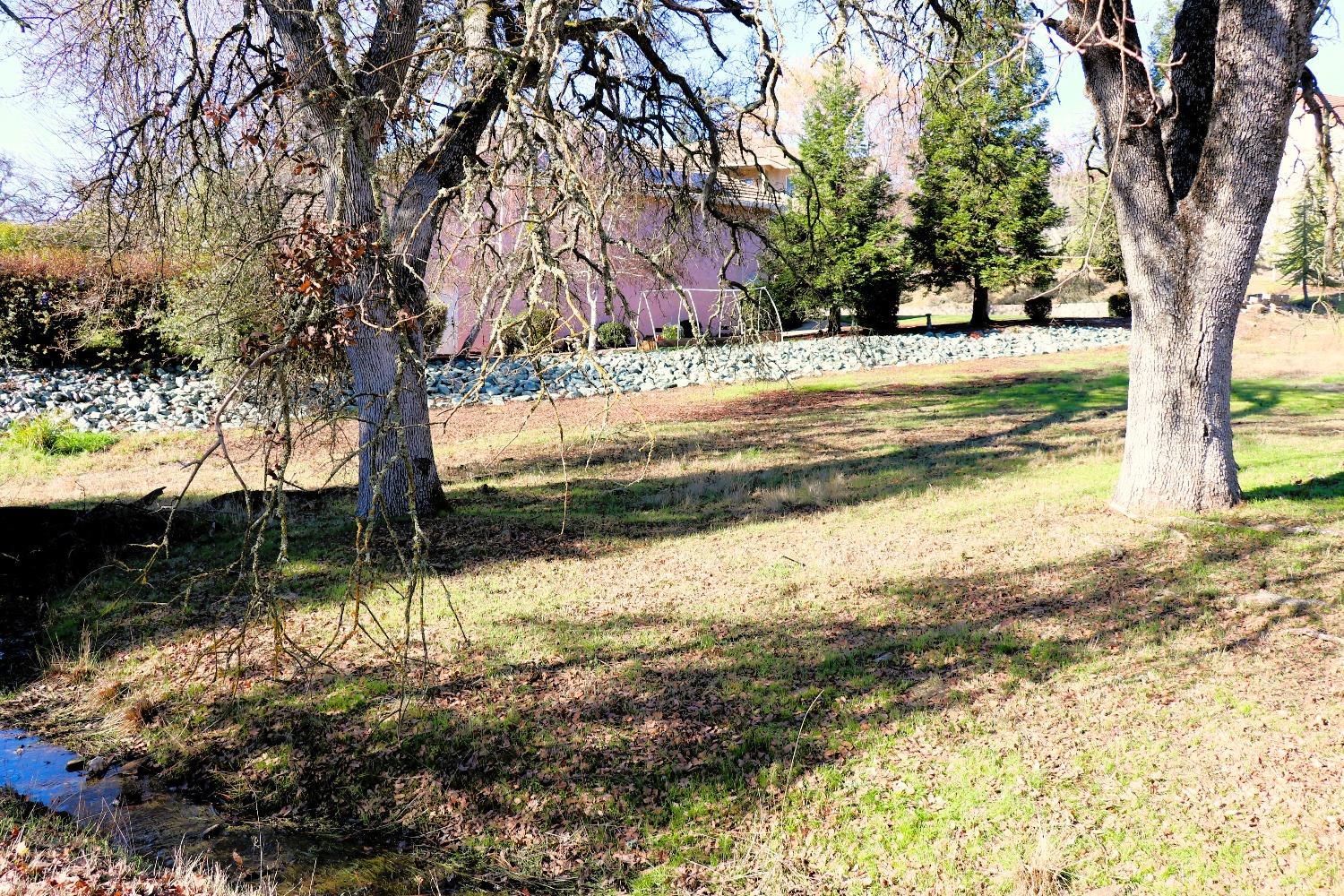 337 St Andrews Road Valley Springs, CA 95252 - Photo 29 of 47 a view of yard with trees