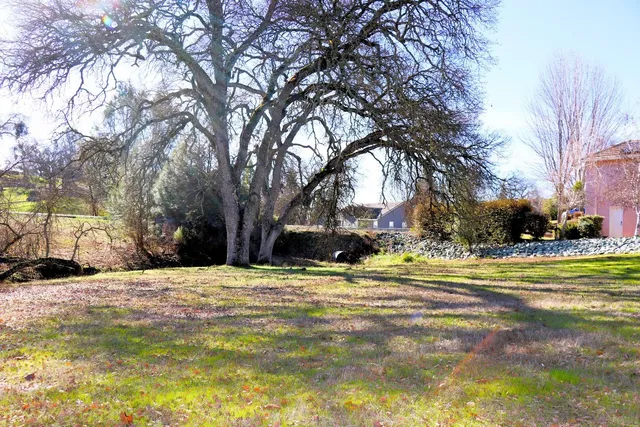 a view of a swimming pool with an trees