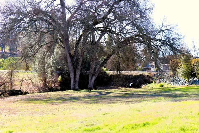 a view of swimming pool with a yard