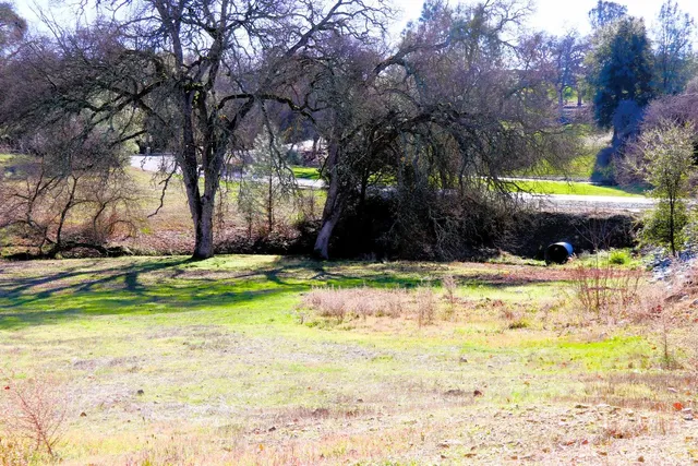 a view of outdoor space with trees