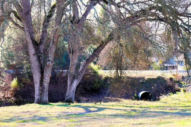 a view of a backyard of the house