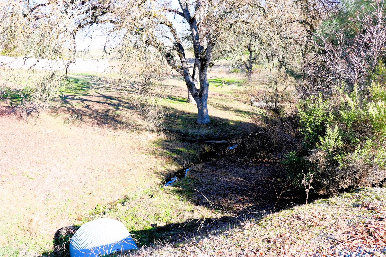 337 St Andrews Road Valley Springs, CA 95252 - Photo 37 of 47 a view of a backyard of the house