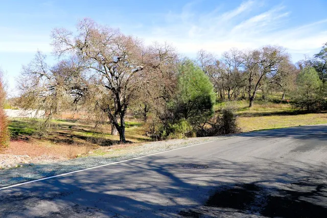 a view of a yard with trees