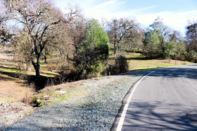 a swimming pool with trees in the background