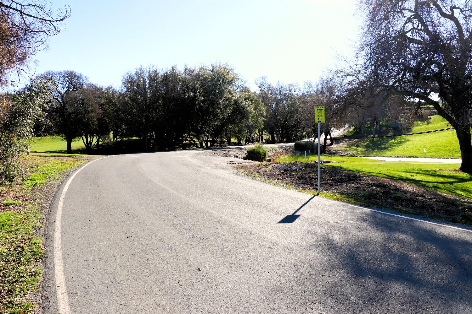 337 St Andrews Road Valley Springs, CA 95252 - Photo 41 of 47 a swimming pool with trees in the background