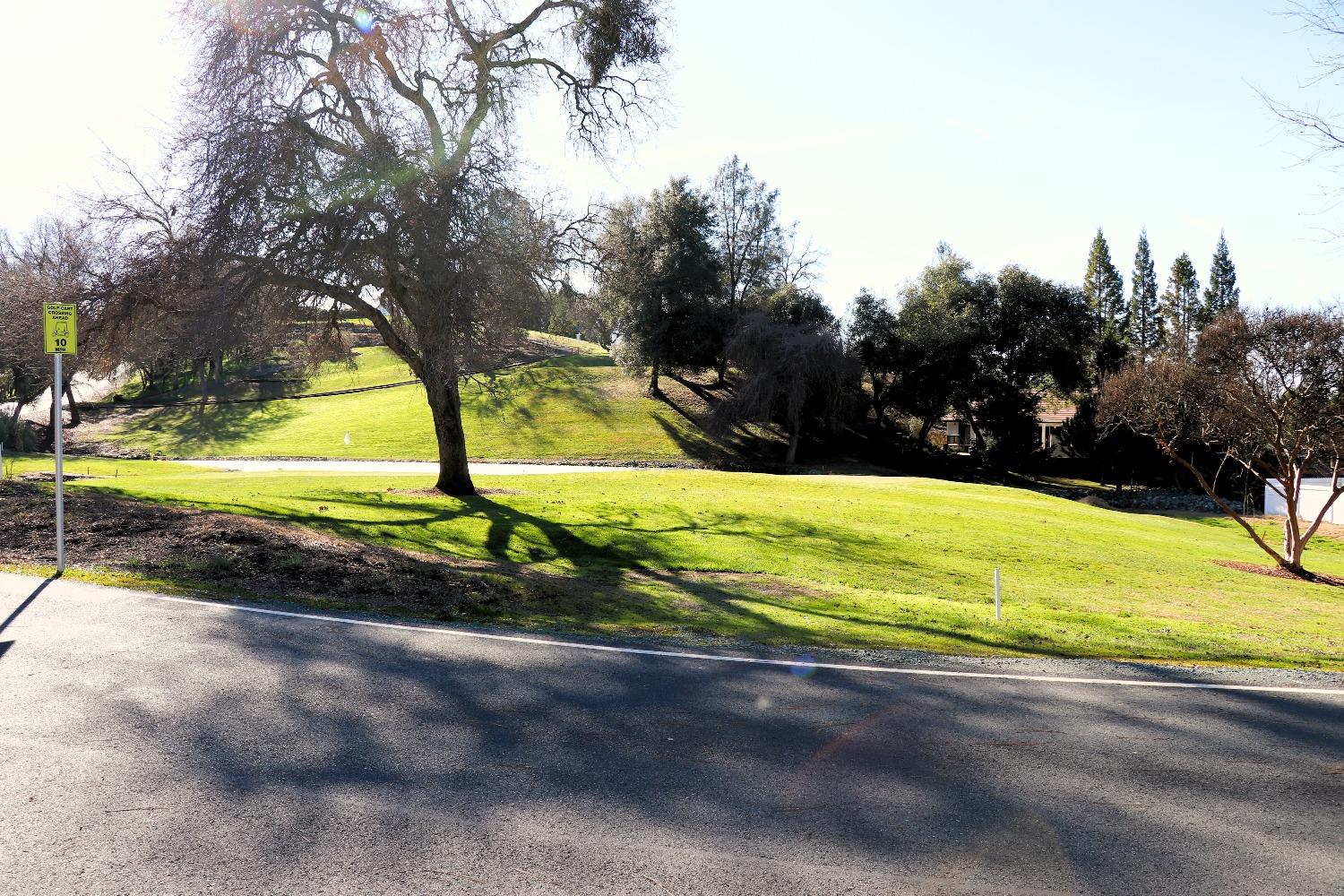337 St Andrews Road Valley Springs, CA 95252 - Photo 42 of 47 a view of a park with large trees