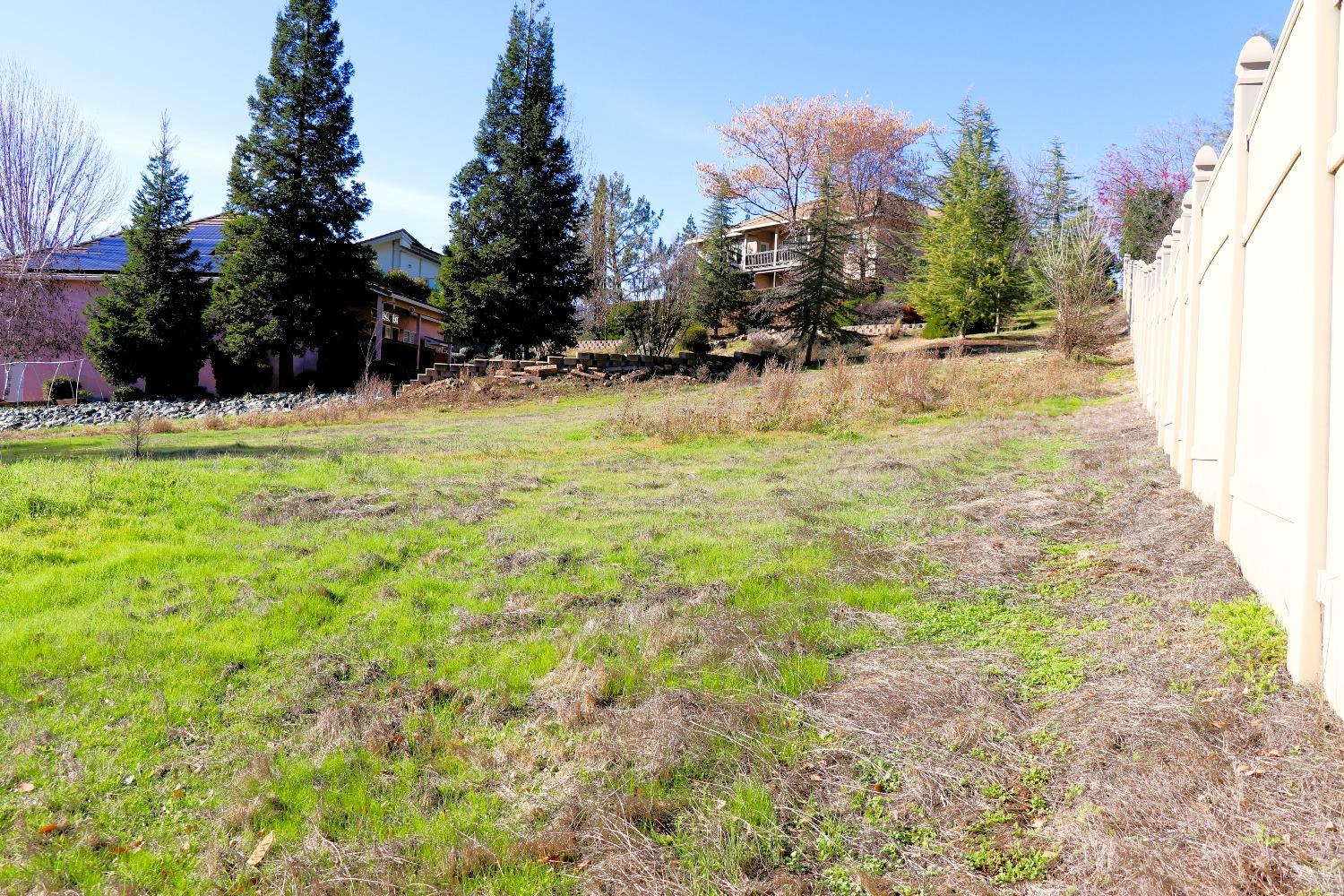 337 St Andrews Road Valley Springs, CA 95252 - Photo 5 of 47 a view of a yard with an trees