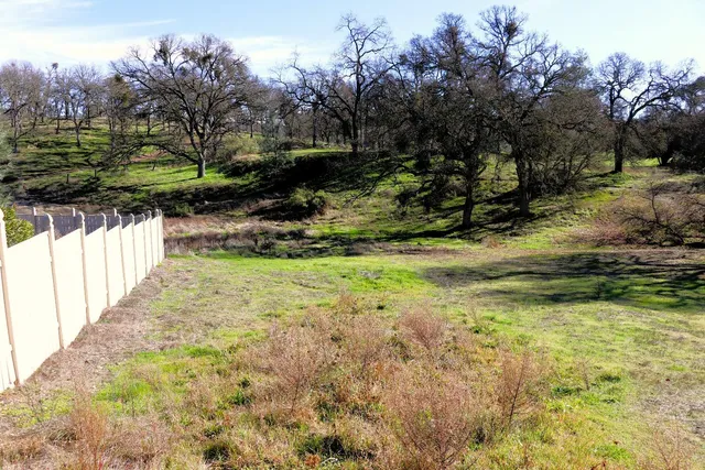 a view of a yard with plants