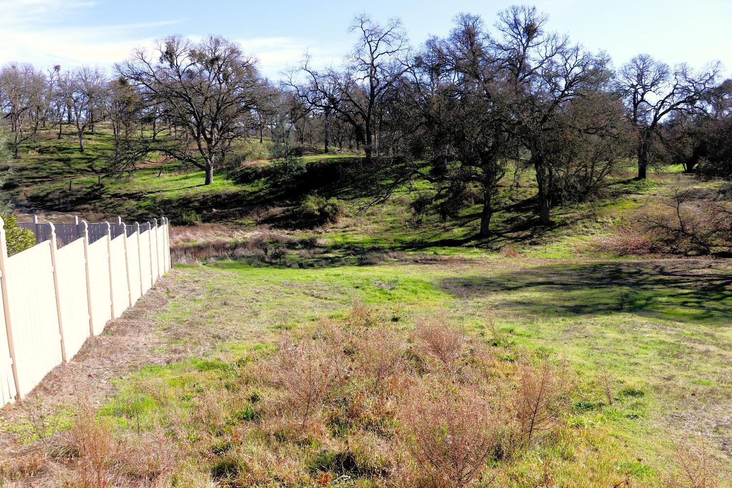 337 St Andrews Road Valley Springs, CA 95252 - Photo 6 of 47 a view of a yard with plants