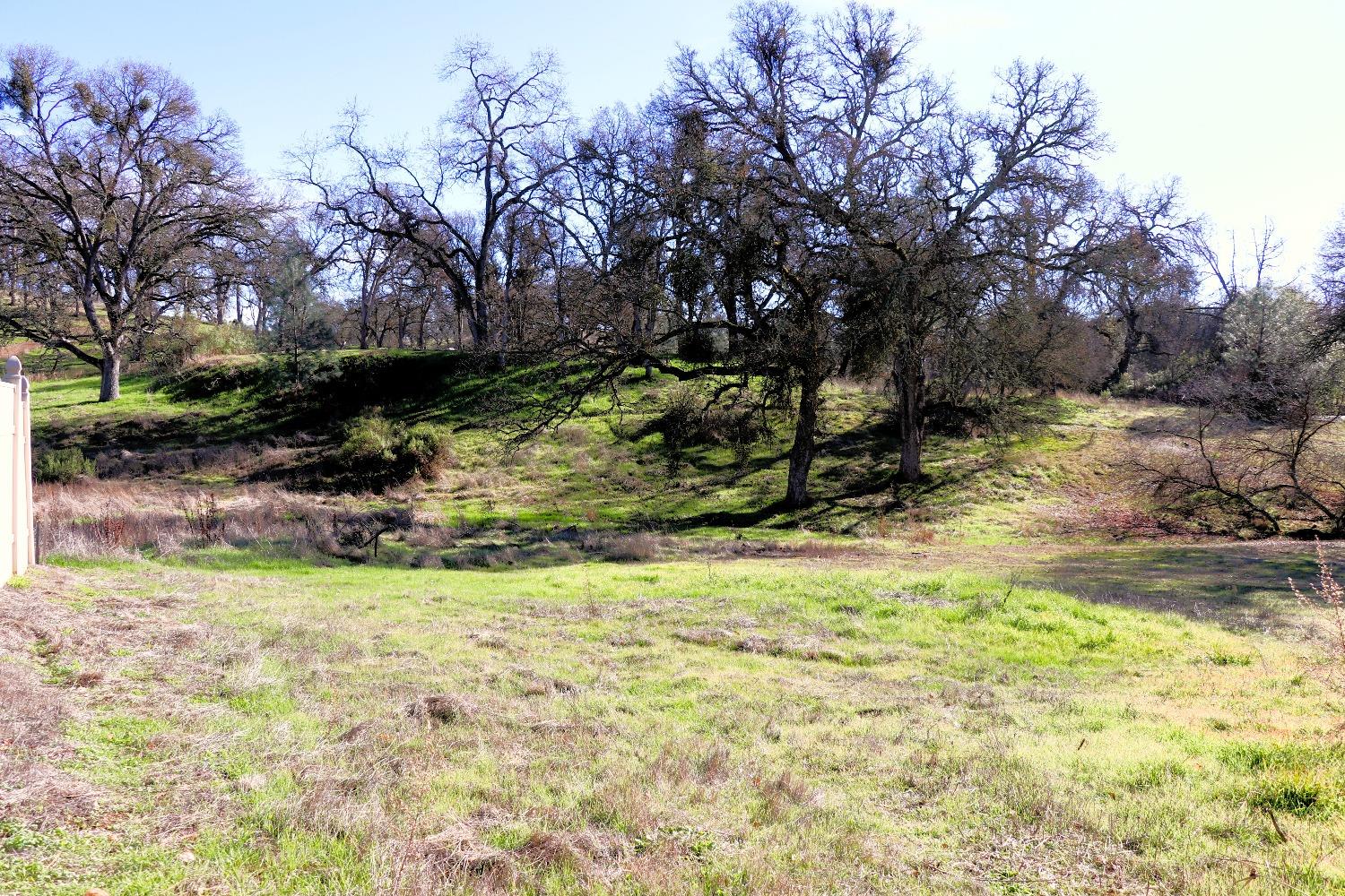 337 St Andrews Road Valley Springs, CA 95252 - Photo 7 of 47 a view of a yard with a tree