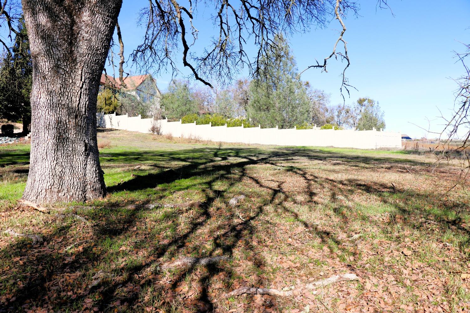 337 St Andrews Road Valley Springs, CA 95252 - Photo 8 of 47 a view of a yard with a tree
