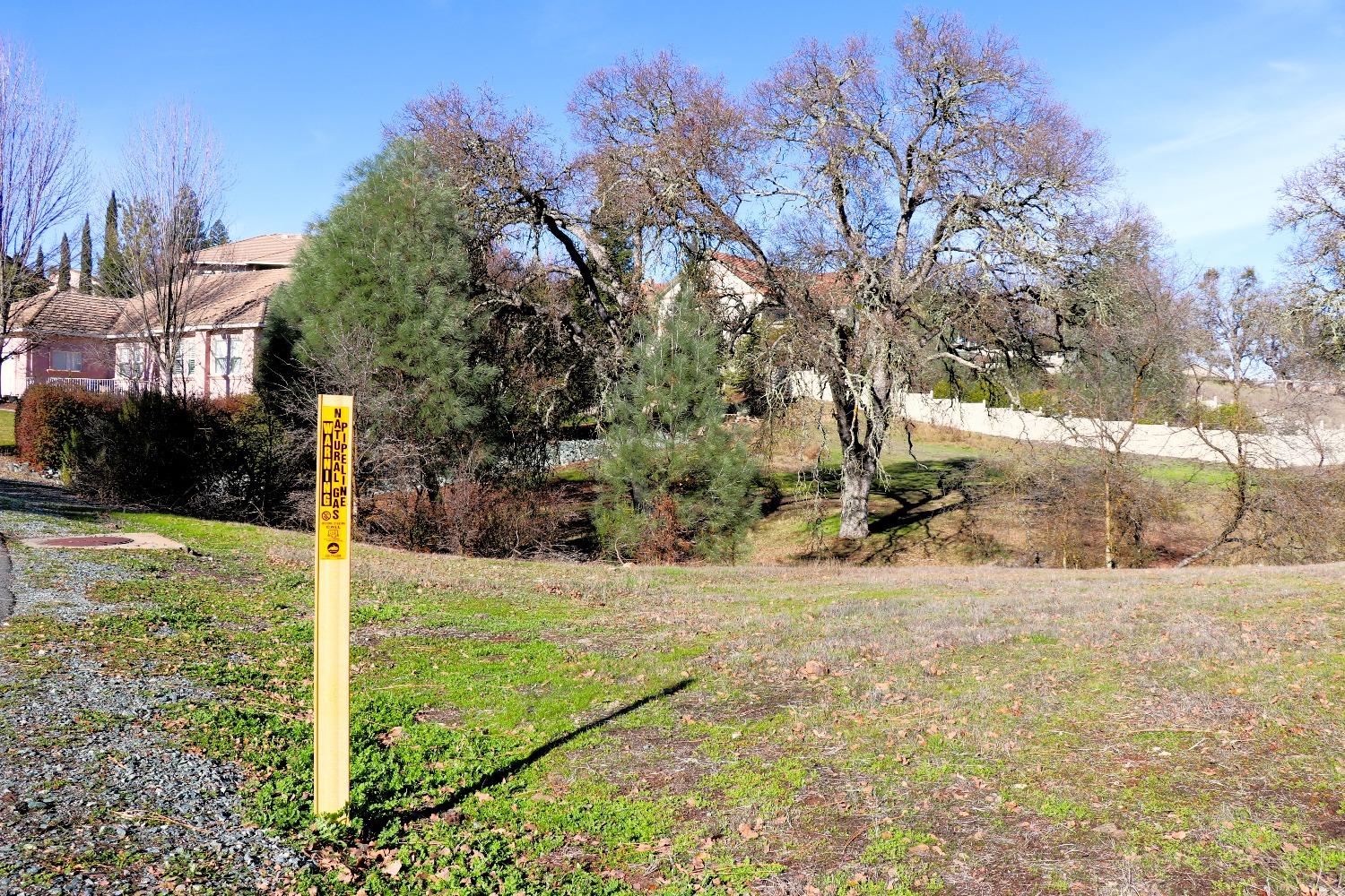 337 St Andrews Road Valley Springs, CA 95252 - Photo 10 of 47 a view of a yard with plants
