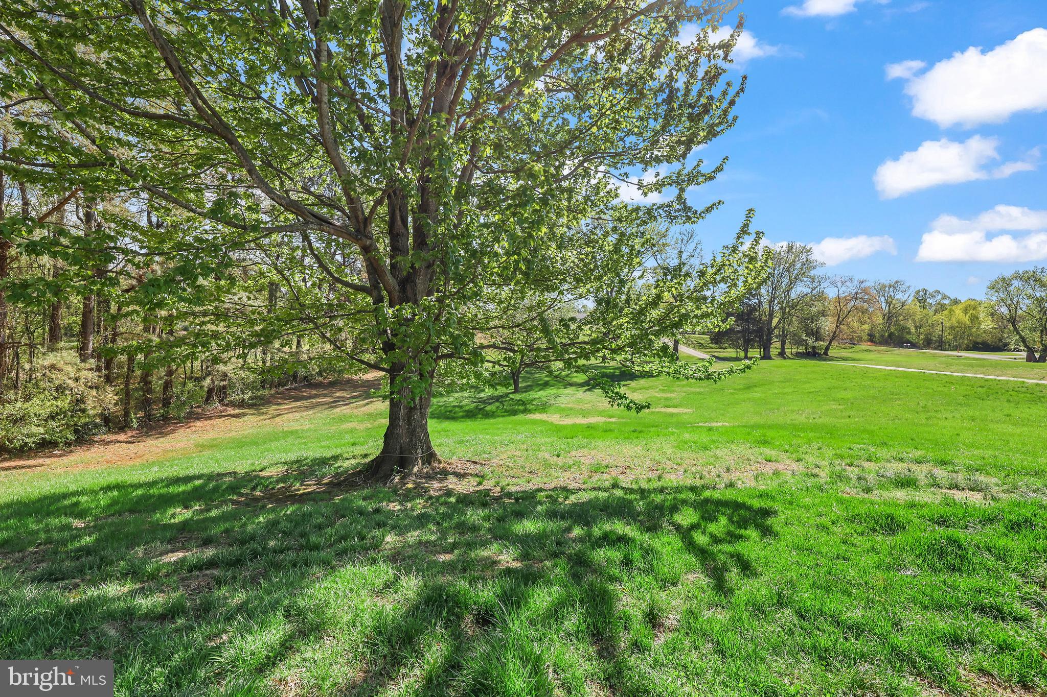 874 Truslow Road Fredericksburg, VA 22406 - Photo 47 of 53